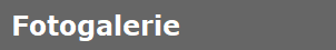 Fotogalerie